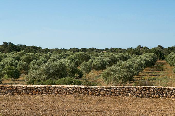 Ca Na Maria Teueta San Ferrán de ses Roques Exterior foto